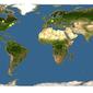 Discover Life: Point Map of Isoetes braunii